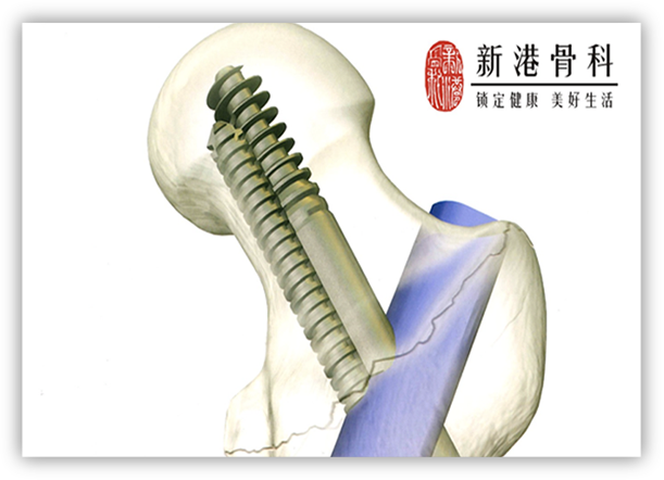 公司简介