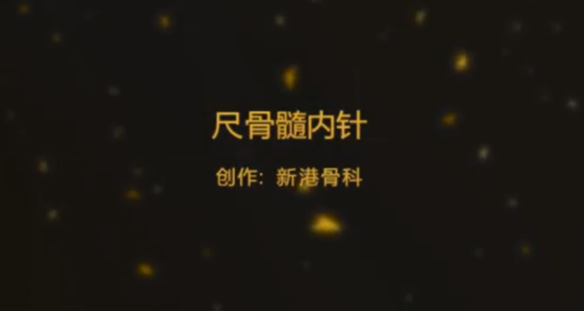 尺骨髓内针